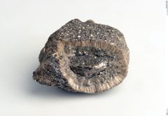 Foto von Biotit (NHMW-MIN-Ad950)